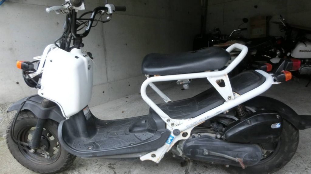 Honda Zoomer (White)