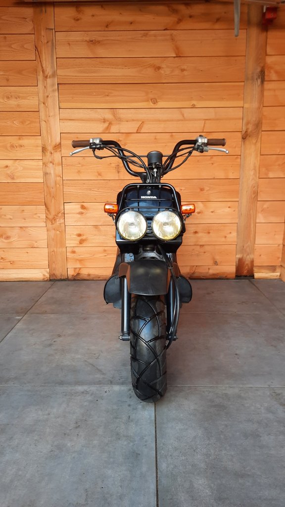 Honda Zoomer (Black)